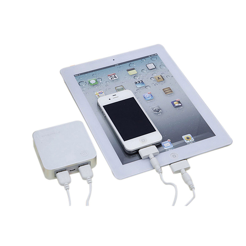 LCD/light up logo power bank
